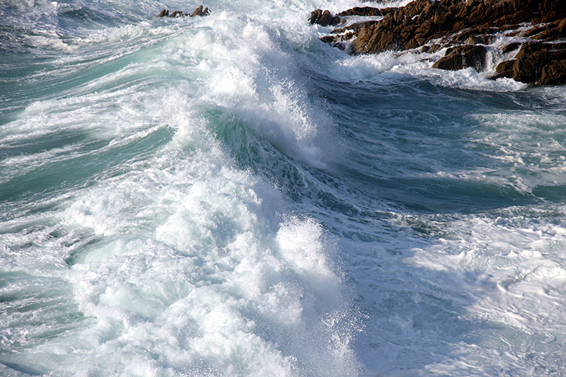 The Rip Tide